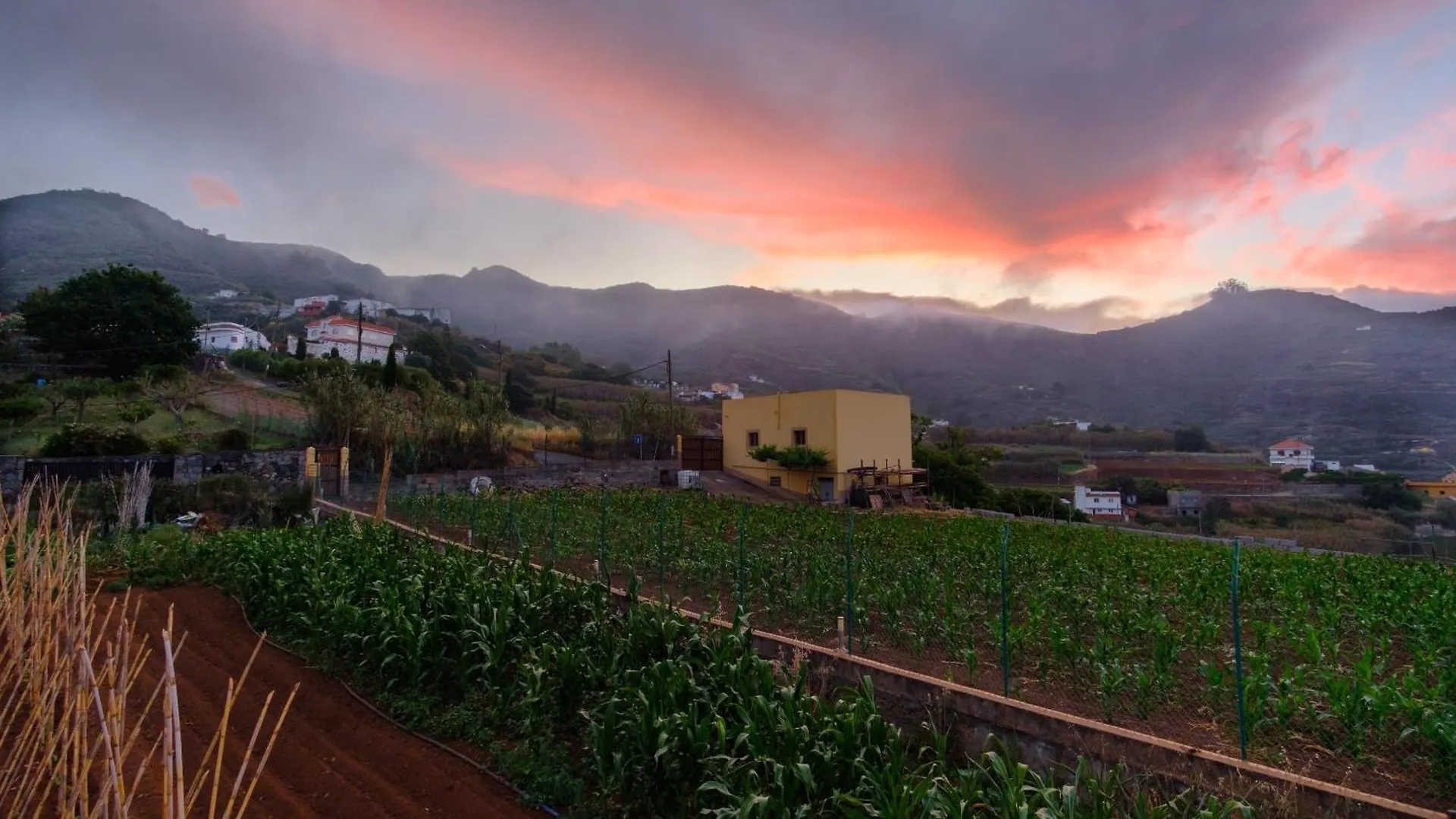 La Casa De Arriba, Private Rooms In Teror, Gran Canaria 테로르